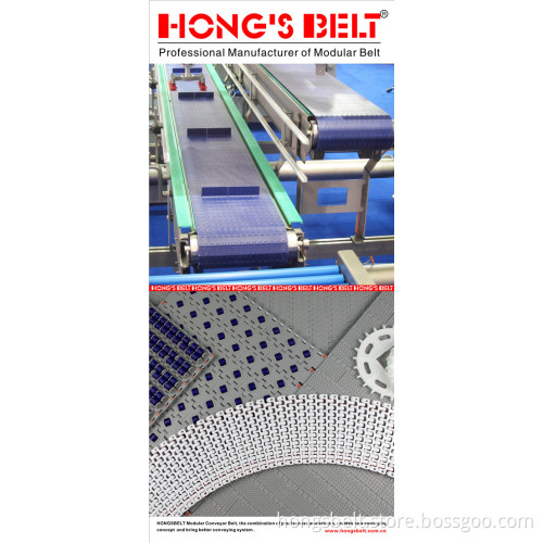 Food&Beverage Industry Modular Conveyor Belt (HS-100B)